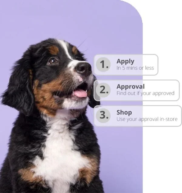 Puppy Financing Available at Petland Valdosta