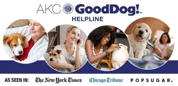 Learn More about AKC GoodDog Helpline