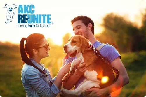 All Petland Valdosta Puppies are registered through AKC Reunite